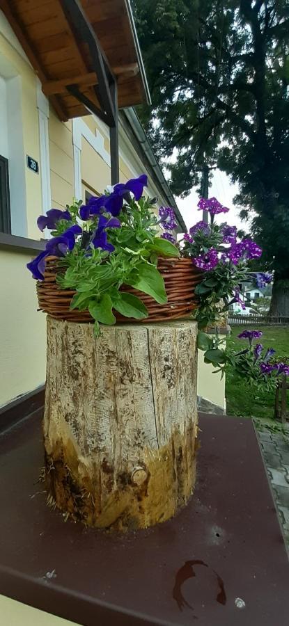 Penzion U Draci Skaly Hotel Svojse ภายนอก รูปภาพ